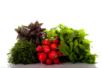 Fresh Green Salad Ingredients