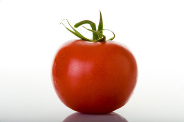 Ripe Red Tomato