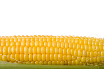 Corn in a Row