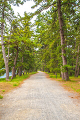 日本三景　天橋立　風景
