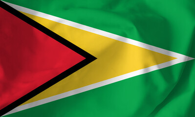 Flag of Guyana. State, national Flag of Guyana.