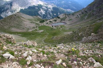 Arnica flowers and peacock-eye pinks among rocks on a slope above the Lausson lake in the...