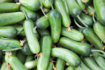 Pile Of Cucumbers