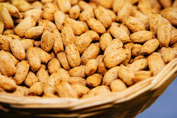 Oat granules for quick breakfast. Close-up. selective focus