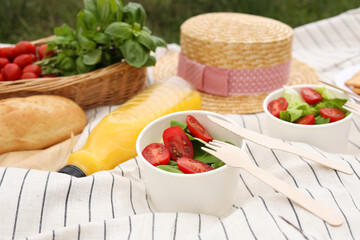 Picnic blanket with juice and food outdoors
