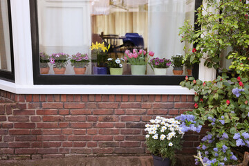 Fototapeta na wymiar House decorated with many beautiful potted flowers, view from outside