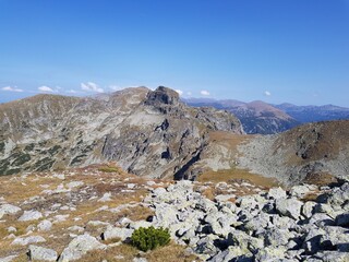 nature animals sky landscape lake people flowers mountains trees clouds grass