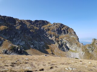 nature animals sky landscape lake people flowers mountains trees clouds grass