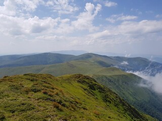 nature animals sky landscape lake people flowers mountains trees clouds grass
