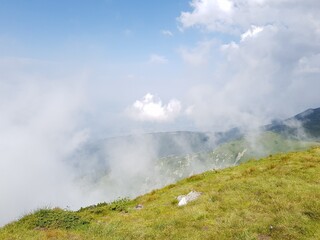 nature animals sky landscape lake people flowers mountains trees clouds grass