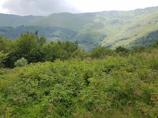 Obraz premium nature animals sky landscape lake people flowers mountains trees clouds grass