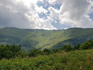 nature animals sky landscape lake people flowers mountains trees clouds grass