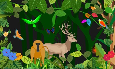 Fototapety  Jungle animals and plants template, deer, baboo and birds, vector illustration