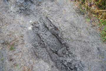 View of a muddy footpath in woodland