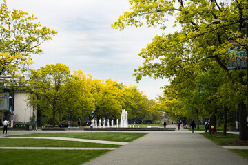 trees in park fountain UBC