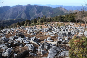 多くの石や岩が並ぶ風景