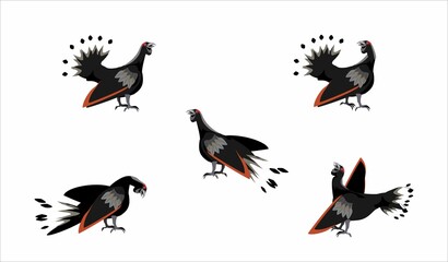 capercaillies birds vector set isolated on white background