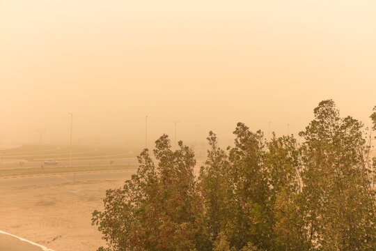 the sand storm in desert dust in the air