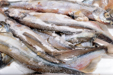 raw fish isolated on white background