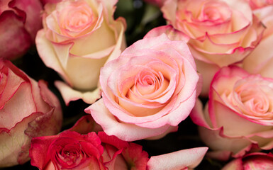 bouquet of roses