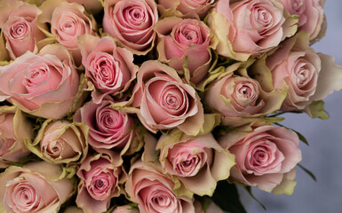 pink roses bouquet.  Mother day