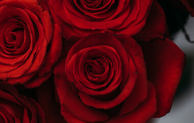 close up of red roses