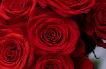bouquet of roses. Red flowers. Photo. Sensual. Card. Idea. Card. Gifts. 