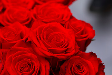 Naklejka premium Mother day flowers. Mother day. Happy day. Celebration. Holidays. Photo. Flowers. Gift. Toy. Gifts. Spring time. 