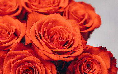 bouquet of roses. Mother day. Rose flowers. Gift. Happy day