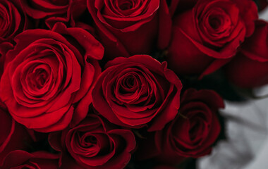 Obraz na płótnie Canvas bunch of red roses