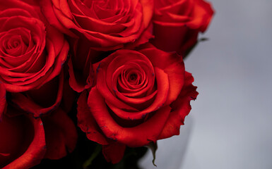 bunch of roses. Rose. Flowers background. Summer time. Nature. Flowers. Beauty. Gift. 