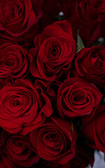 Fototapeta premium bunch of roses. Rose. Flowers background. Summer time. Nature. Flowers. Beauty. Gift. 