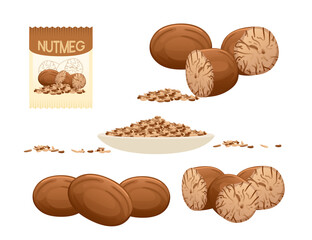 Set of Fragrant nutmeg seasoning with whole and milled paper package vector illustration on white background