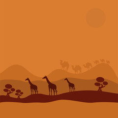 Fototapeta na wymiar african giraffes