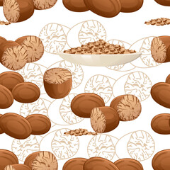 Fototapeta na wymiar Seamless pattern of Fragrant nutmeg seasoning with whole and milled vector illustration