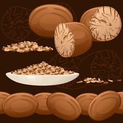 Seamless pattern of Fragrant nutmeg seasoning with whole and milled vector illustration