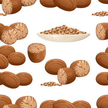 Seamless pattern of Fragrant nutmeg seasoning with whole and milled vector illustration
