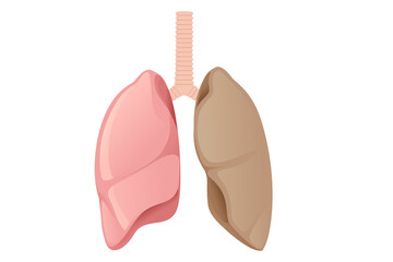 Human damaged Lungs cartoon design human anatomy organ vector illustration on white background