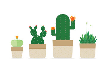 Cactus or Succulent plants collection with flower blooming in potted minimal style, Object on white background, Desert ornamental planting for home decoration and Hobbies, Set of cute shaped cactus.