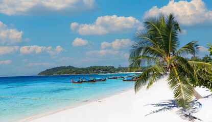 The banner  travel in summer as Palm tree as the white sand Beach -  Happy Tropical with a Vacation Holiday concept
