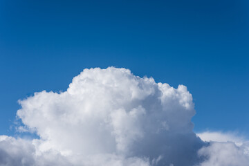 Naklejka na ściany i meble Fluffy soft huge cloud on the blue sky