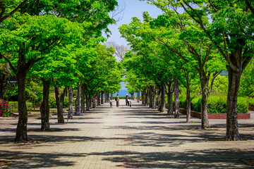 五色台の香川県総合運動公園（香川県高松市）