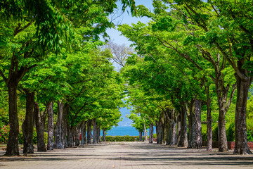 五色台の香川県総合運動公園（香川県高松市）