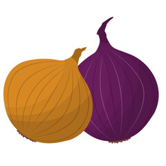 brown and purple onion isolated on white background, flat design vector illustration