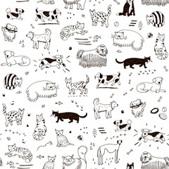 Cats and dogs, funny pets vector line seamless pattern - 507464181