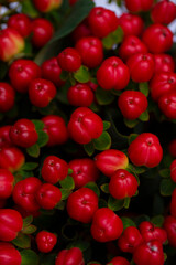 red and green berries