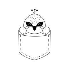 Cute peacock sitting in pocket. Animal face in Scandinavian style for kids t-shirts, wear, nursery decoration, greeting cards, invitations, poster, house interior. Vector stock illustration