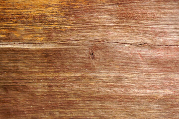 Obraz premium Big Brown wood plank wall texture background texture old wood