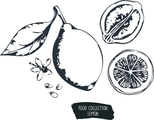 set of fruits lemon 