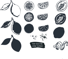 collection of food, lemon elements